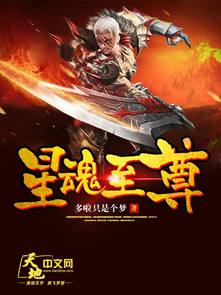 星魂至尊