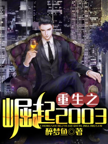 重生之崛起2003